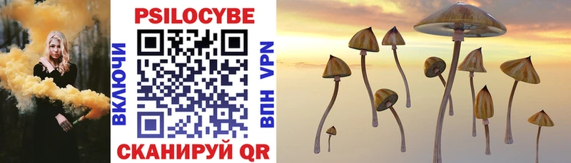 Купить закладки  Москва  Галлюциногенные грибы Magic Shrooms 